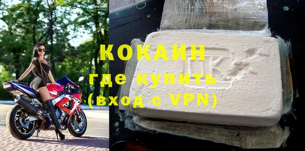 индика Абаза