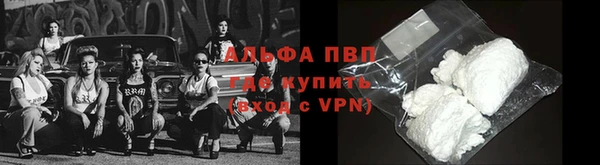 индика Абаза