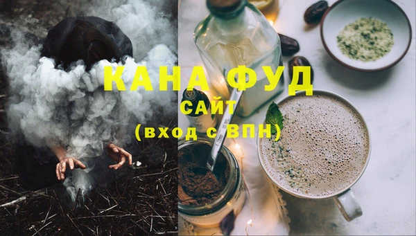 индика Абаза