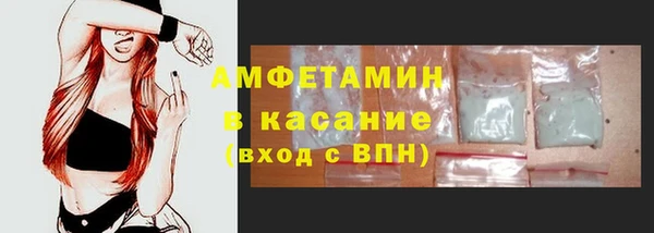 индика Абаза