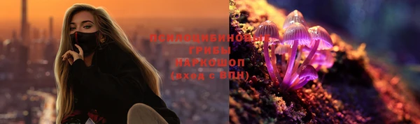 молекула духа Абинск