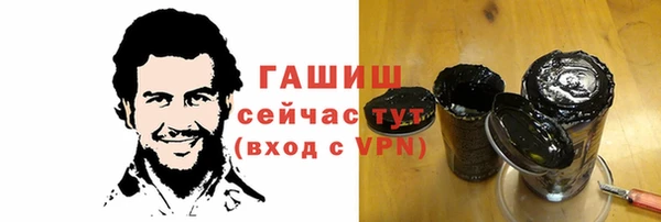 индика Абаза