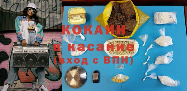 индика Абаза