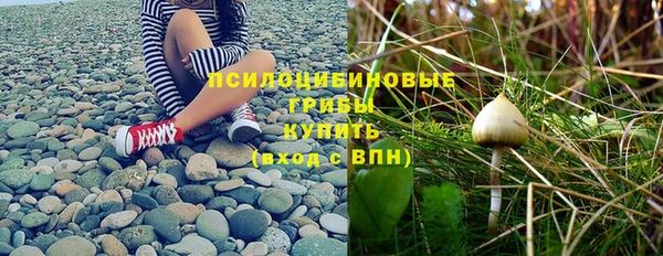 индика Абаза