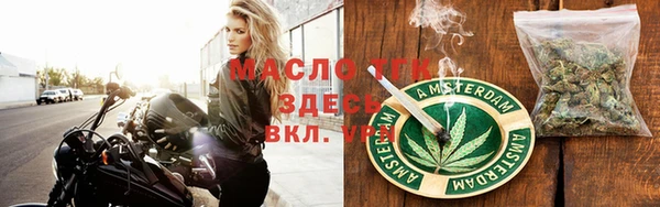 индика Абаза