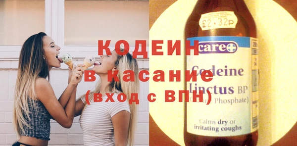 индика Абаза