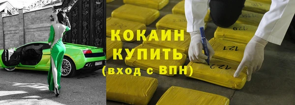 индика Абаза